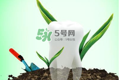 種植牙多少錢一顆？為什么種植牙很貴