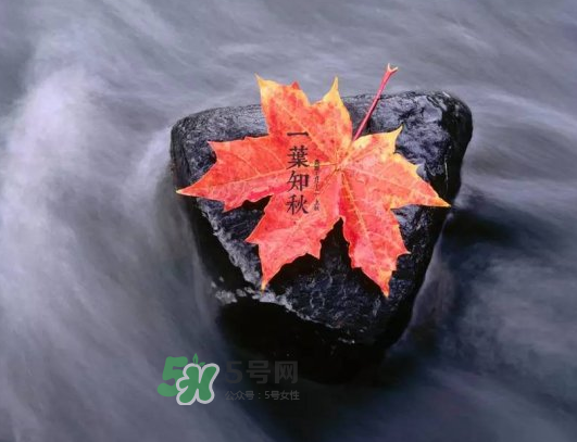 2017早立秋還是晚立秋？早立秋和晚立秋的區(qū)別