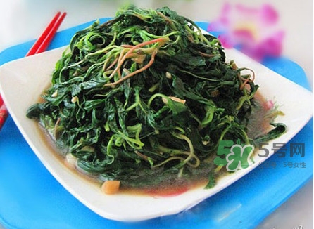 野莧菜怎么做好吃？野莧菜怎么保存