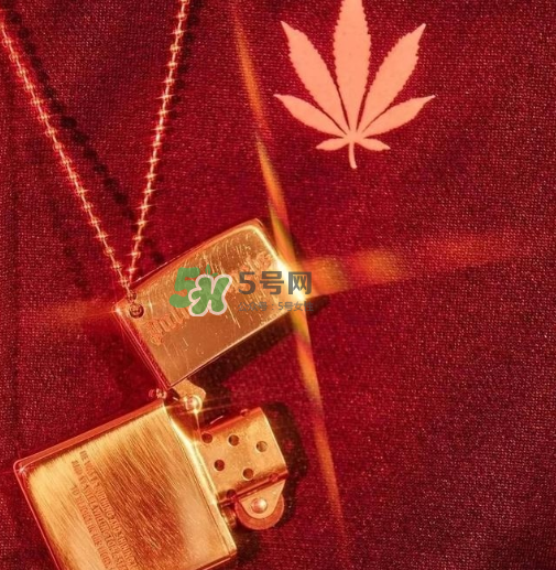 palm angels是什么牌子_哪個(gè)國(guó)家的_什么檔次？