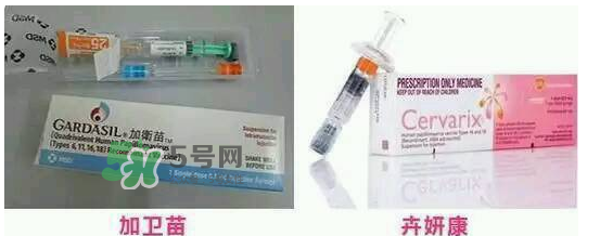 hpv疫苗9價(jià)4價(jià)2價(jià)有什么區(qū)別？hpv疫苗三款應(yīng)該怎么選？