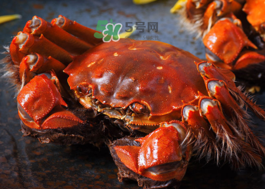 2017年陽(yáng)澄湖大閘蟹多少錢(qián)一斤？2017陽(yáng)澄湖大閘蟹價(jià)格