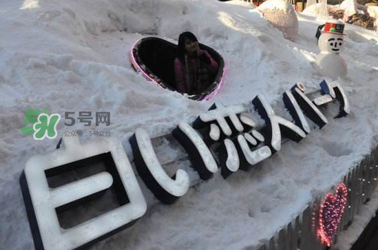 白色戀人哪個味道好？白色戀人為什么這么好吃