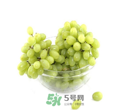 馬奶葡萄是提子嗎？馬奶葡萄怎么洗？
