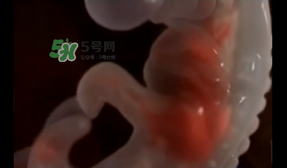 懷孕初期怎么保胎？陰道出血是流產(chǎn)征兆嗎？