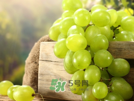 馬奶葡萄幾月成熟？吃馬奶葡萄有什么好處？