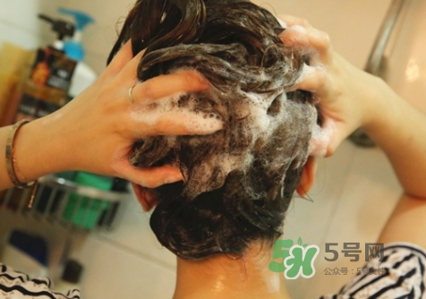 hair recipe水果洗發(fā)水怎么樣？hair recipe洗發(fā)水哪款好用