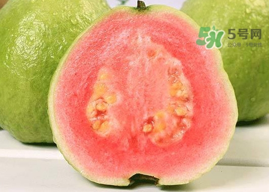 紅芭樂怎么吃？芭樂是熱的還是涼的