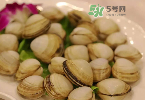 花蛤可以放冰箱冷凍嗎？花蛤放冰箱保鮮能吃嗎？