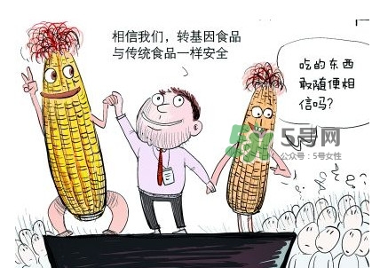 雜交水稻是不是轉(zhuǎn)基因？轉(zhuǎn)基因食品有哪些？