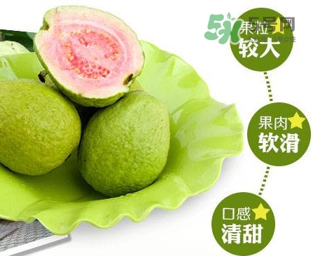 芭樂(lè)怎么挑選？如何挑選紅心芭樂(lè)