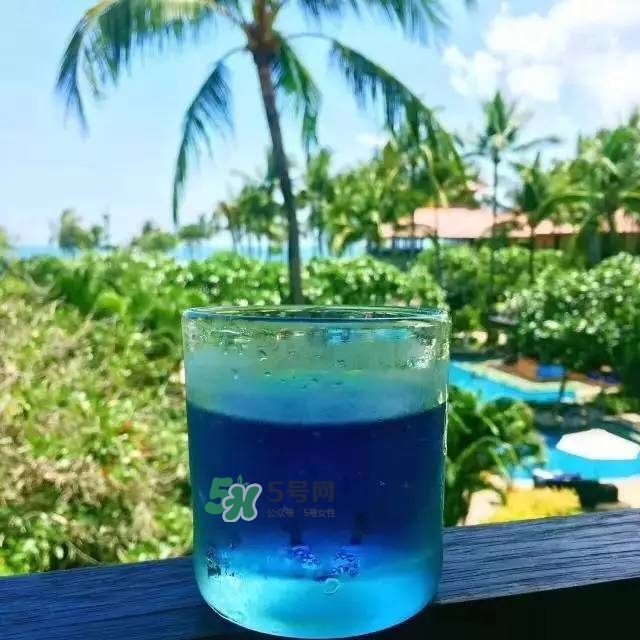 pepsi blue藍(lán)色百事可樂(lè)為什么火_在哪買_多少錢(qián)