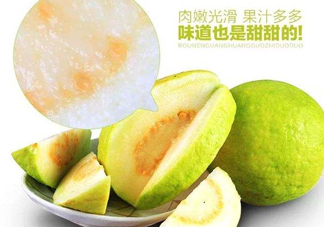 芭樂和番石榴有什么區(qū)別？芭樂和番石榴的區(qū)別