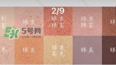 zoeva玫瑰金眼影盤怎么畫？zoeva rose golden畫法教程