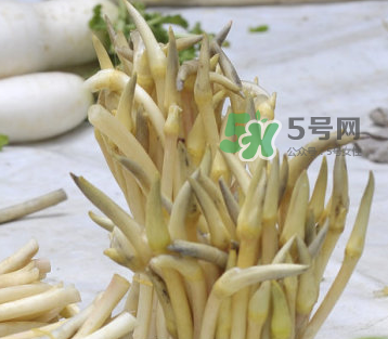 2017年藕帶什么時候下市？藕帶下市時間是幾月？