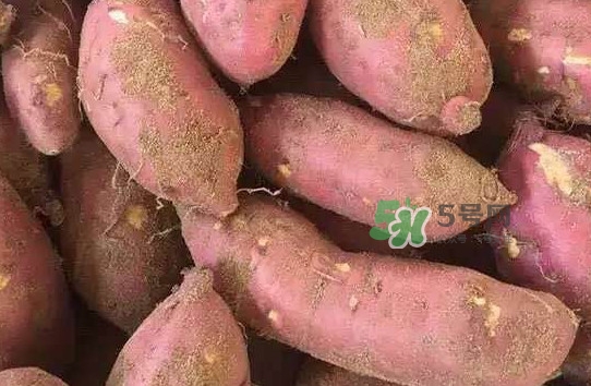 地瓜發(fā)芽了怎么種盆栽？拔絲地瓜怎么熬糖