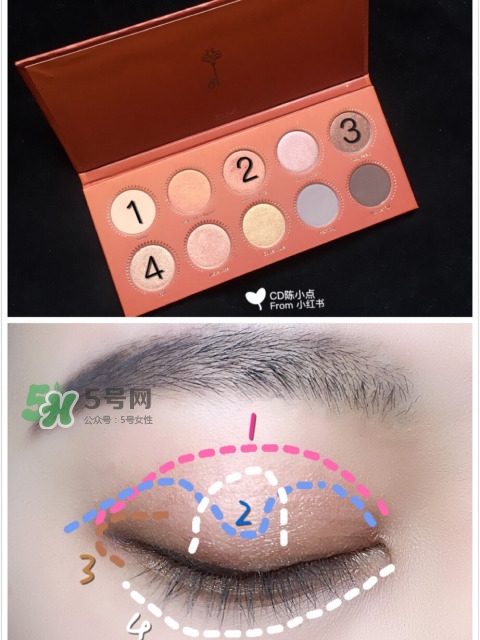 zoeva玫瑰金眼影盤怎么畫？zoeva rose golden畫法教程