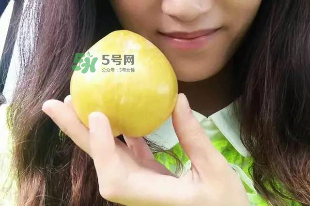 奈李是什么水果？奈李為什么會(huì)空心