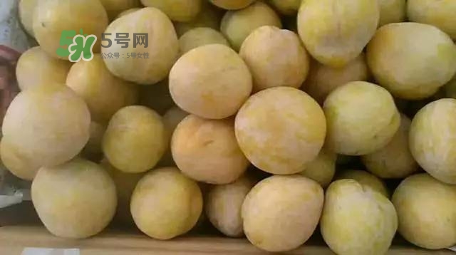 奈李是什么水果？奈李為什么會(huì)空心