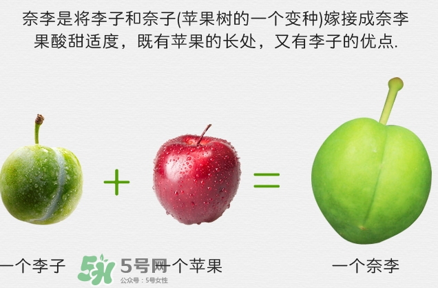 寶寶可以吃奈李嗎？寶寶多大可以吃奈李