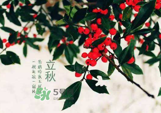 立秋為什么在處暑前？為什么立秋早過處暑？