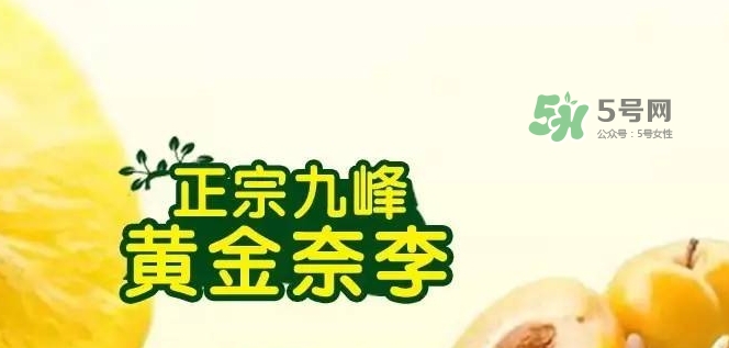 黃金奈李多少錢(qián)一斤？黃金奈李價(jià)格