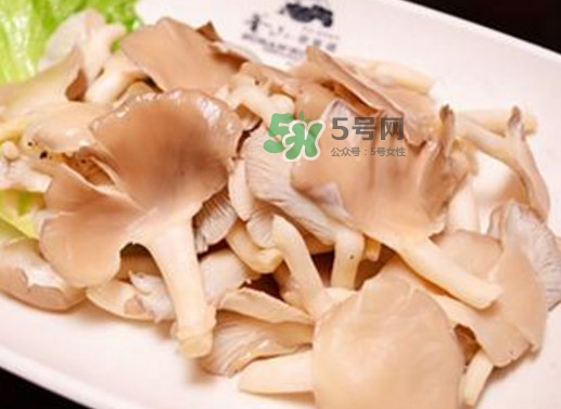 秀珍菇孕婦可以吃嗎？孕婦能吃秀珍菇嗎