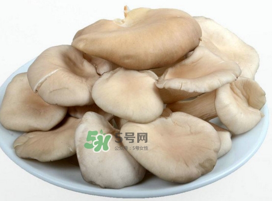 秀珍菇可以和海帶一起吃嗎？海帶能和秀珍菇一起吃嗎