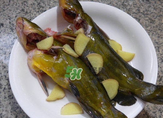 黃刺魚幾月份最好釣？黃刺魚怎么釣
