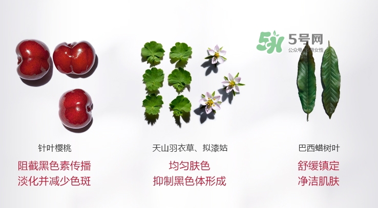 嬌韻詩牛奶水好用嗎？嬌韻詩牛奶水孕婦可以用嗎