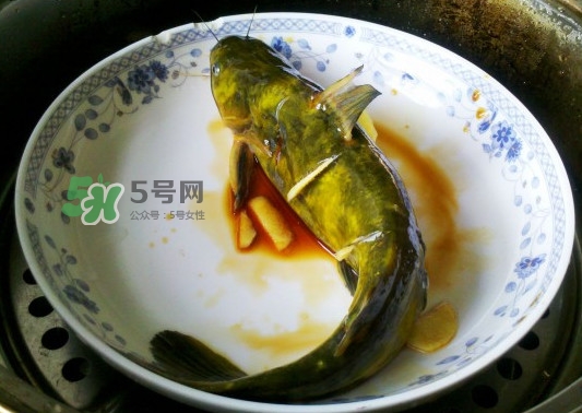 黃刺魚怎么殺？黃刺魚怎么處理