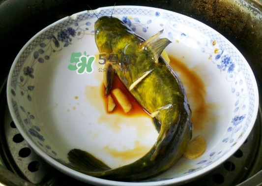 黃刺魚死了能吃嗎？黃刺魚不能與什么同食