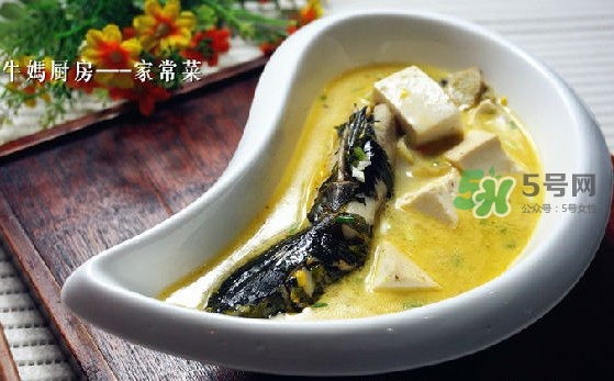 黃刺魚怎么殺？黃刺魚怎么處理