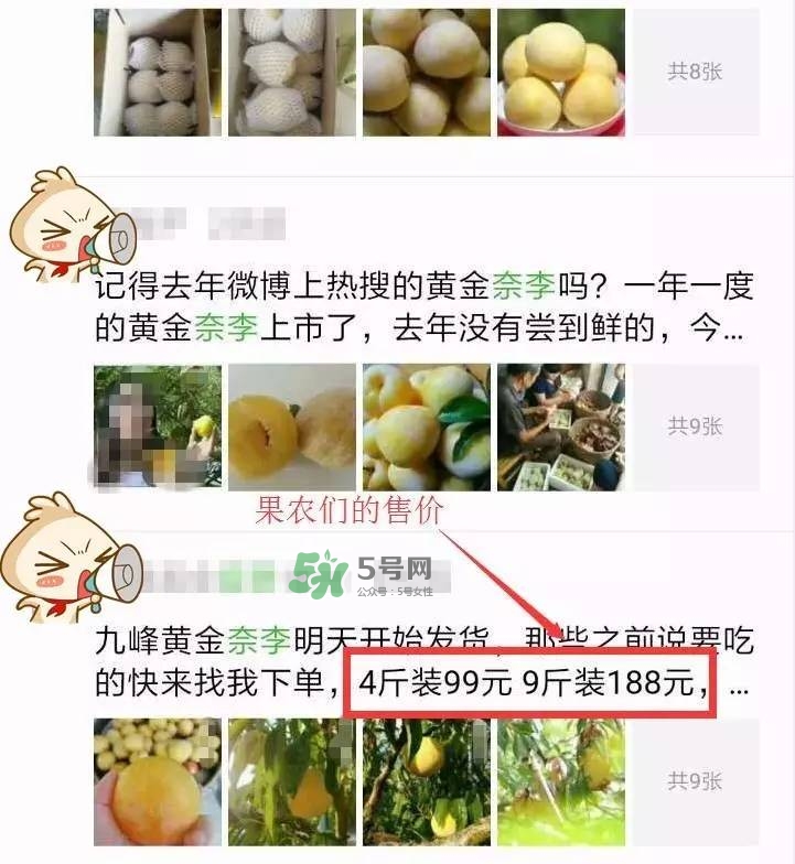黃金奈李多少錢(qián)一斤？黃金奈李價(jià)格