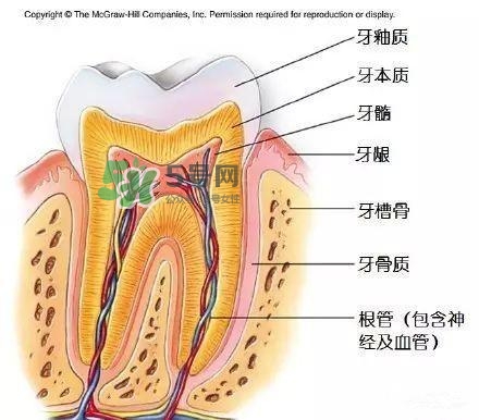 regenerate牙膏多少錢(qián)？regenerate牙膏專(zhuān)柜價(jià)格