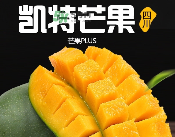 凱特芒果多少錢一斤？凱特芒果價格