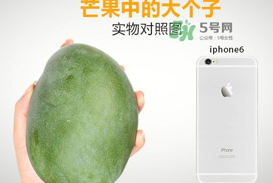 凱特芒果多少錢一斤？凱特芒果價格
