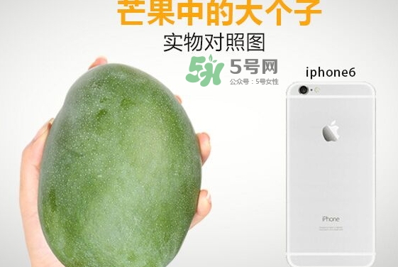 凱特芒果什么時(shí)候上市？凱特芒果上市時(shí)間