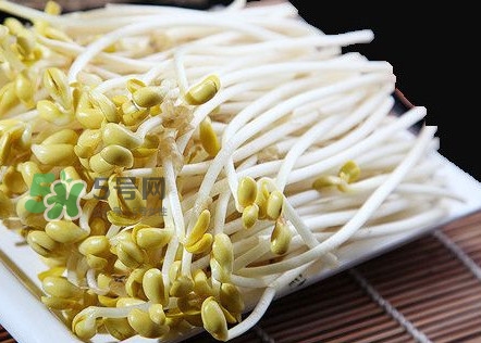 豆芽有根好還是無根好？無根豆芽與有根豆芽區(qū)別