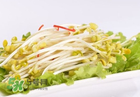 豆芽怎么保存？新鮮豆芽放冰箱能放幾天？