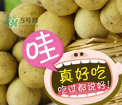 龍宮果孕婦可以吃嗎？懷孕可以吃龍功果嗎