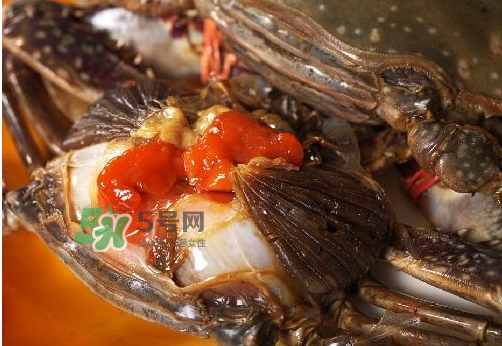梭子蟹有蟹黃嗎？梭子蟹蟹黃在哪里？