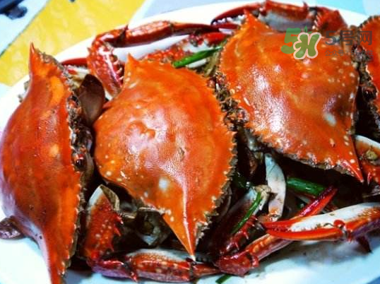 梭子蟹可以煮嗎？梭子蟹怎么煮？