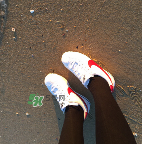 nike cortez jewel皮革版多少錢？耐克阿甘鞋皮革款價(jià)格