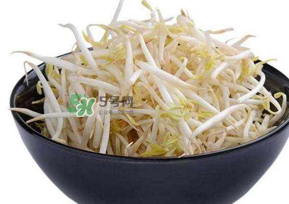 豆芽什么季節(jié)吃？豆芽什么時(shí)候有
