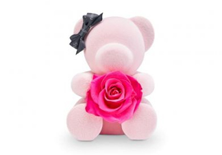 roseonly熊多少錢？roseonly玫瑰熊多少錢？