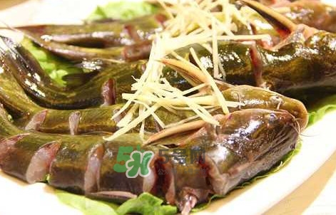 黃蜂魚怎么做好吃？黃蜂魚怎么釣