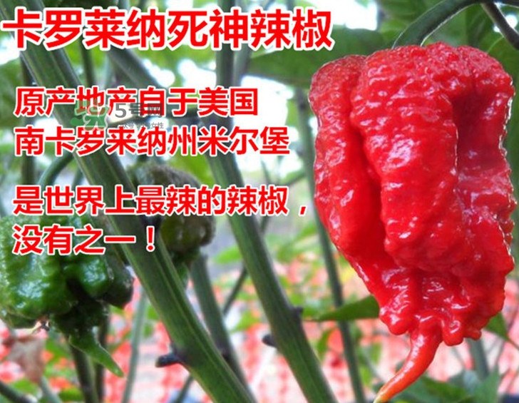 死神辣條哪兒有賣？哪里可以買到死神辣條