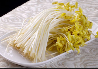 豆芽有綠葉還能吃嗎？豆芽有點爛了還能吃嗎