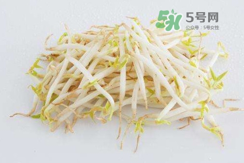 豆芽是發(fā)物嗎？豆芽能見陽(yáng)光嗎